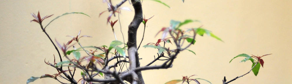 live homosexual sex of child catch by the video clip